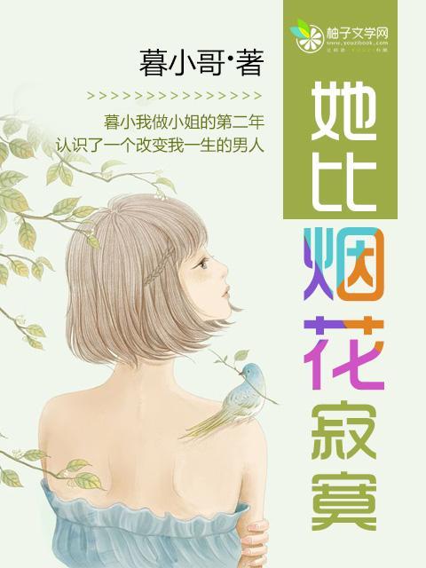她比烟花寂寞封面