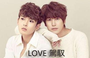LOVE 驾驭封面