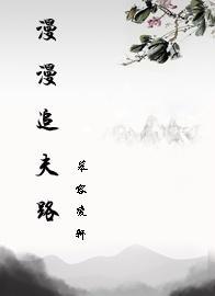 漫漫追夫路封面