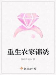 重生农家锦绣封面
