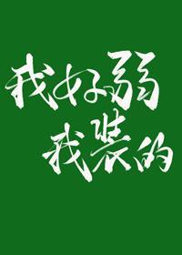 我好弱，我装的封面