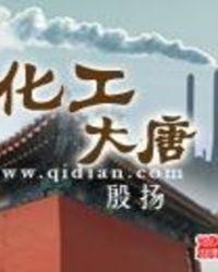 化工大唐封面