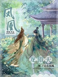 龙傲天怀了只小凤凰封面