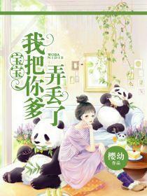 宝宝，我把你爹弄丢了封面