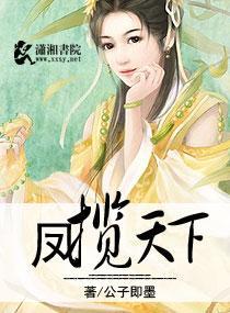 凤揽天下封面