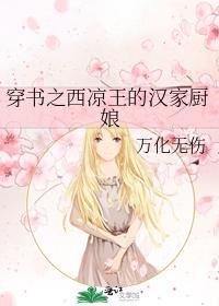 穿书之西凉王的汉家厨娘封面