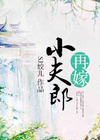 再嫁小夫郎封面