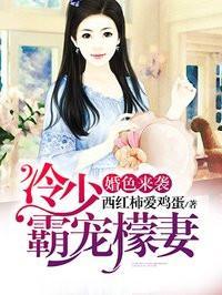 婚色来袭：冷少霸宠檬妻封面