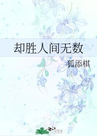 却胜人间无数封面