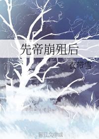 先帝崩殂后封面