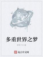 多重世界之梦封面