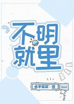 不明就里封面