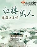 红楼闲人封面