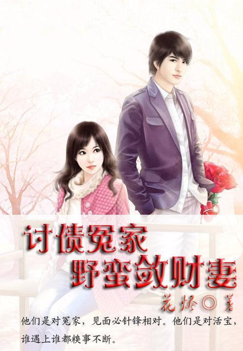 讨债冤家：野蛮敛财妻封面