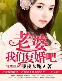 老婆，我们覆婚吧！封面