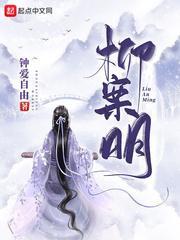 柳案明封面