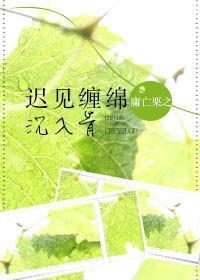 他们说我老公是坏人封面