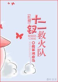[红楼]十二钗救火队封面