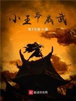 小王爷威武封面