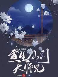 重生仙门大师兄，师父太凶残封面
