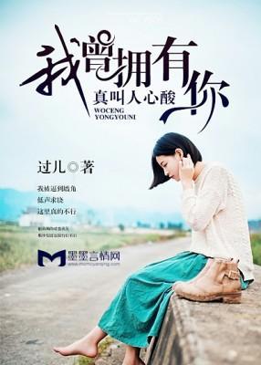我曾拥有你，真叫人心酸封面