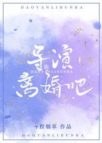 导演，离婚吧封面