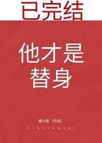 他才是替身封面