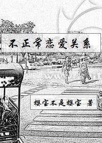 不正常恋爱关系封面