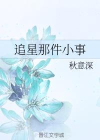 追星那件小事封面