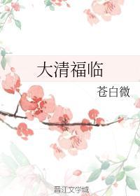 大清福临封面