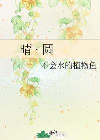 晴·圆封面