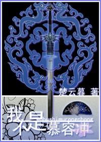 我不是慕容冲封面