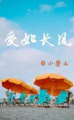 爱如长风封面