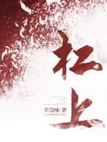 杠上封面