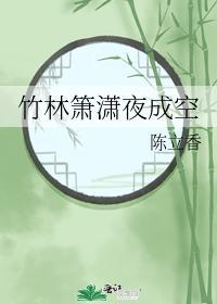竹林箫潇夜成空封面