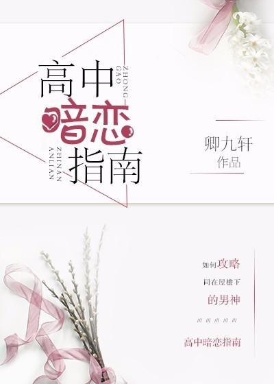 高中暗恋指南封面