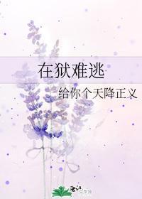在狱难逃封面
