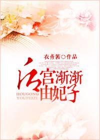 后宫渐渐由妃子封面