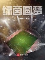绿茵圆梦封面