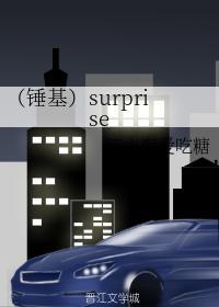 （锤基）surprise封面