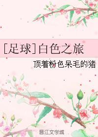 白色之旅封面