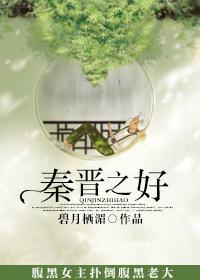 秦晋之好封面