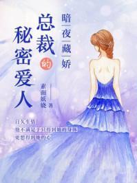 暗夜藏娇：总裁的秘密爱人封面