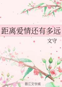 距离爱情还有多远封面