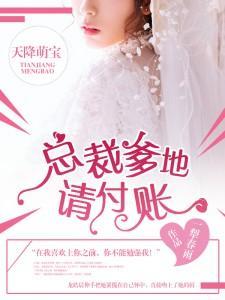天降萌宝：总裁爹地，请付账封面
