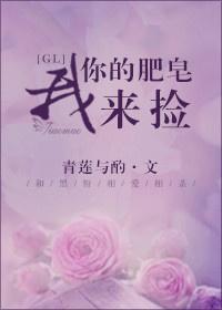 你的肥皂我来捡GL封面