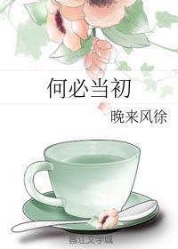 何必当初封面