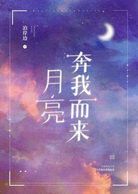 月亮奔我而来封面