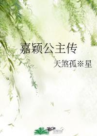 嘉颖公主传封面