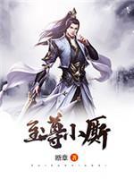 至尊小厮封面
